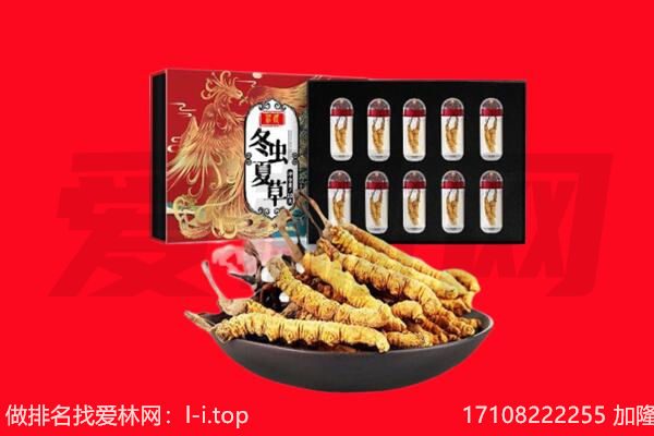 承德市回收虫草.jpg